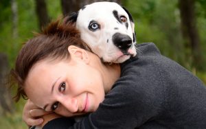 Пропала собака или кошка - поможет астрология - бесплатная консультация астролога 